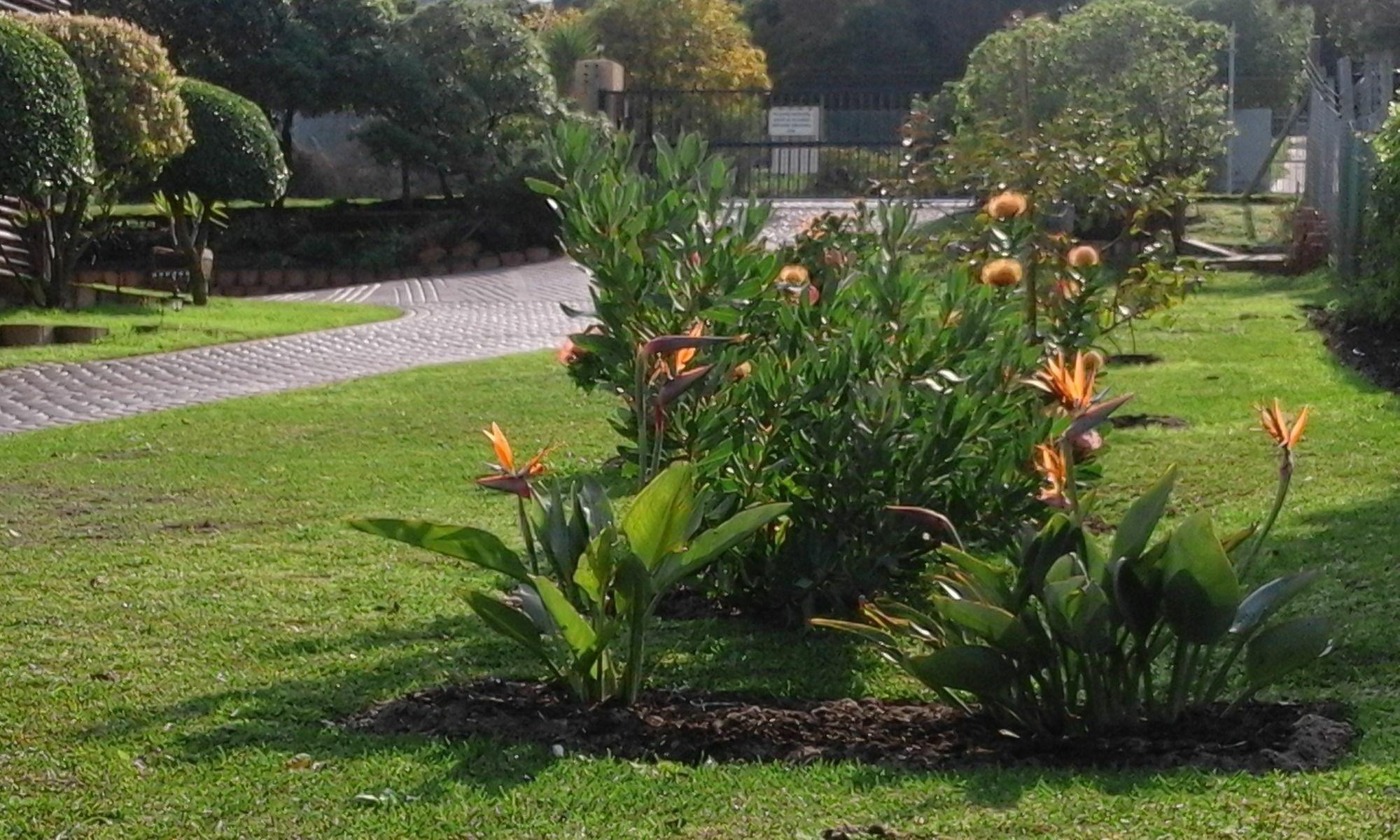 Horizon Cottages Noordhoek Buitenkant foto